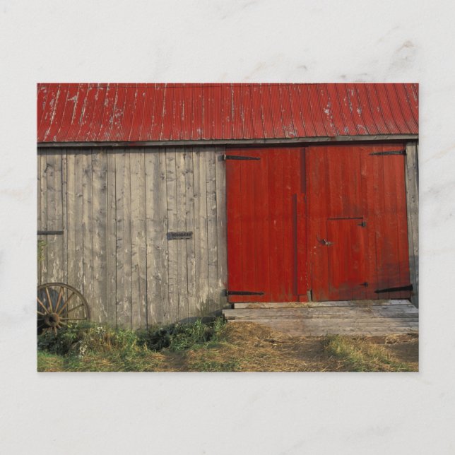 NA, Canada, New Brunswick, Shepody. Red barn Postcard (Front)
