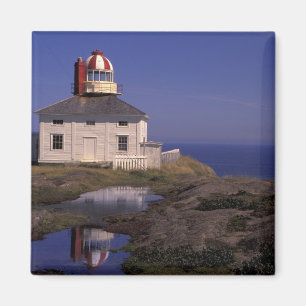NA, Canada, Newfoundland, Cape Spear. Old Cape Magnet