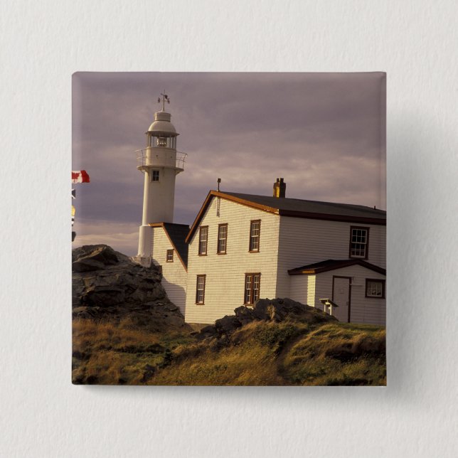 NA, Canada, Newfoundland, Lobster Cove. Lobster 2 Inch Square Button (Front)