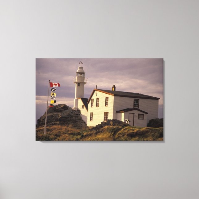 NA, Canada, Newfoundland, Lobster Cove. Lobster Canvas Print (Front)