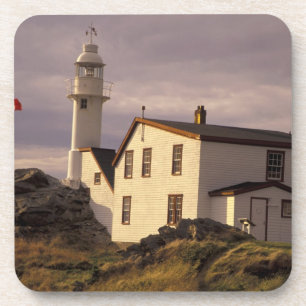 NA, Canada, Newfoundland, Lobster Cove. Lobster Coaster
