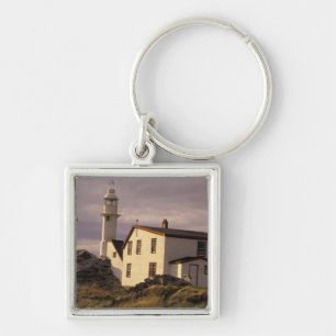 NA, Canada, Newfoundland, Lobster Cove. Lobster Keychain