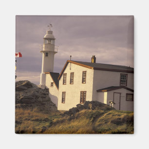 NA, Canada, Newfoundland, Lobster Cove. Lobster Magnet