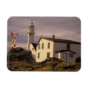 NA, Canada, Newfoundland, Lobster Cove. Lobster Magnet