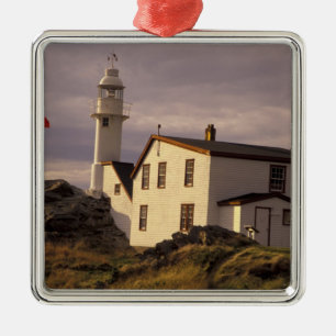 NA, Canada, Newfoundland, Lobster Cove. Lobster Metal Ornament