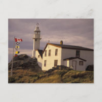 NA, Canada, Newfoundland, Lobster Cove. Lobster