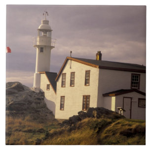 NA, Canada, Newfoundland, Lobster Cove. Lobster Tile