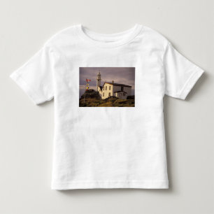 NA, Canada, Newfoundland, Lobster Cove. Lobster Toddler T-shirt