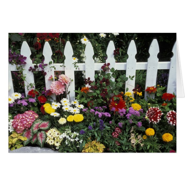 NA, États-Unis, Washington, Sammamish, piquet blan (Devant horizontal)