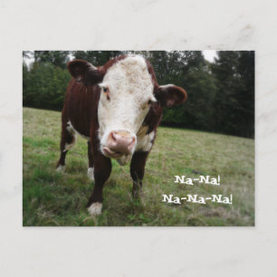Na Na! Funny Cow Sticks Out Tongue Postcard