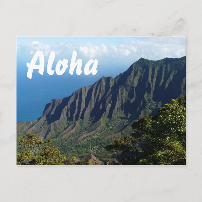 Na Pali Coast, Hawaii Aloha text postcard (Front)