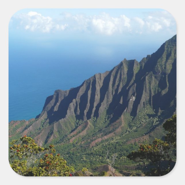 Na Pali Coast on Kauai photo sticker (Front)