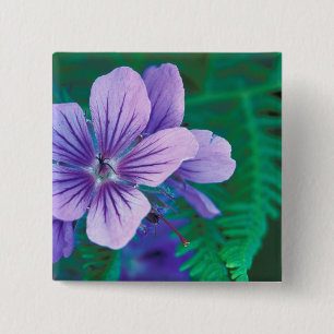 NA, USA, Alaska, Aleutian Islands, Wild 2 Inch Square Button
