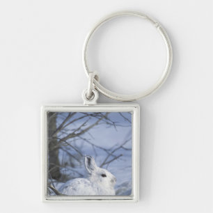 NA, USA, Alaska. Arctic National Wildlife Keychain