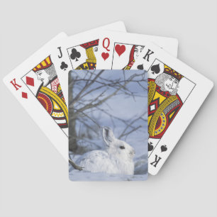 NA, USA, Alaska. Arctic National Wildlife Playing Cards