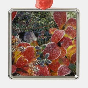 NA, USA, Alaska. Denali National Park. Bearberry 2 Metal Ornament