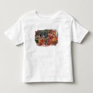 NA, USA, Alaska. Denali National Park. Bearberry 2 Toddler T-shirt