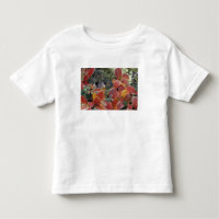 NA, USA, Alaska. Denali National Park. Bearberry 2