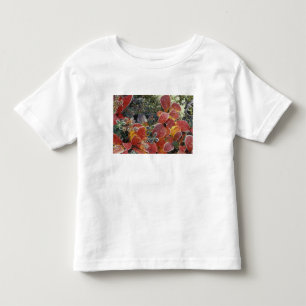 NA, USA, Alaska. Denali National Park. Bearberry 2 Toddler T-shirt