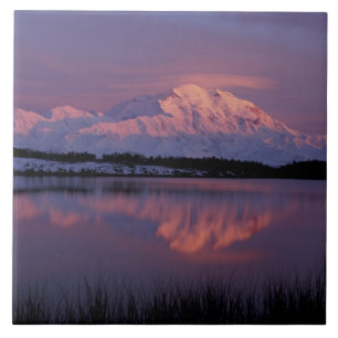 NA, USA, Alaska. Denali National Park. Mt Tile