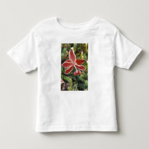 NA, USA, Alaska. Denali National Park, Wonder Toddler T-shirt