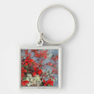 NA, USA, Alaska, Denali NP, Bear berry and Keychain