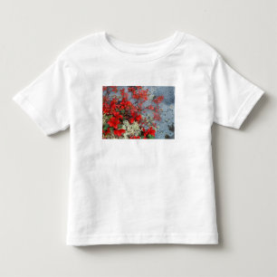 NA, USA, Alaska, Denali NP, Bear berry and Toddler T-shirt