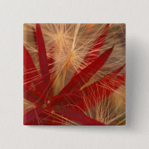 NA, USA, Alaska, Denali NP, Fireweed and wild 2 Inch Square Button
