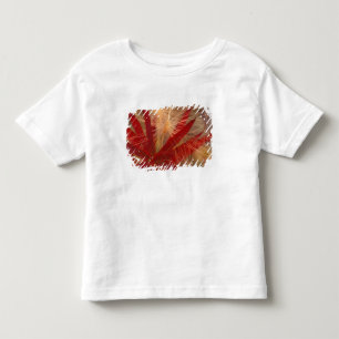 NA, USA, Alaska, Denali NP, Fireweed and wild Toddler T-shirt