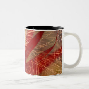 NA, USA, Alaska, Denali NP, Fireweed and wild Two-Tone Coffee Mug