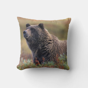 NA, USA, Alaska, Denali NP, Grizzly bear Throw Pillow