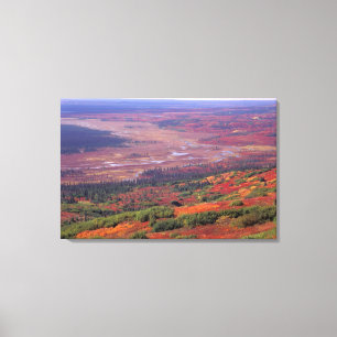 NA, USA, Alaska, Denali NP, View of McKinley Canvas Print