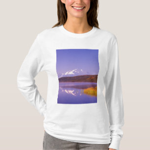 NA, USA, Alaska, Denali NP, Wonder Lake, Mt. T-Shirt