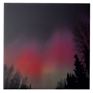 NA, USA, Alaska, Fairbanks. Curtains of purple, Tile
