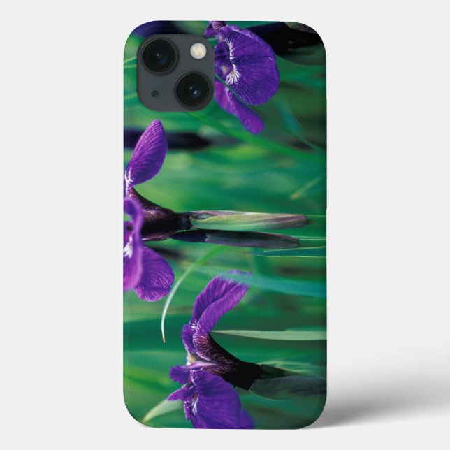 NA, USA, Alaska, Knight Island, Wild iris Case-Mate iPhone Case (Back)