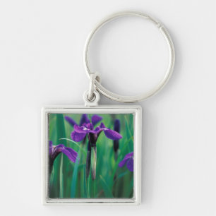 NA, USA, Alaska, Knight Island, Wild iris Keychain