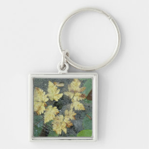 NA, USA, Alaska, Nancy Lake. Dew on spiderweb Keychain