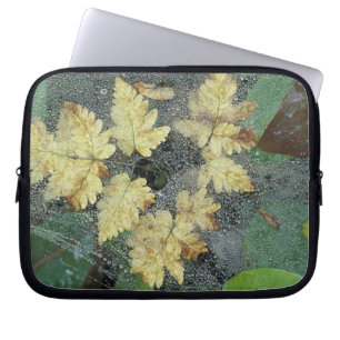 NA, USA, Alaska, Nancy Lake. Dew on spiderweb Laptop Sleeve