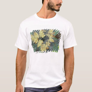 NA, USA, Alaska, Nancy Lake. Dew on spiderweb T-Shirt