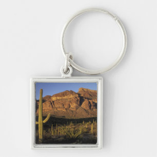 NA, USA, Arizona. Organ Pipe Cactus National 2 Keychain