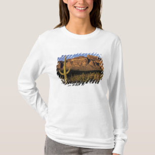 NA, USA, Arizona. Organ Pipe Cactus National 2 T-Shirt