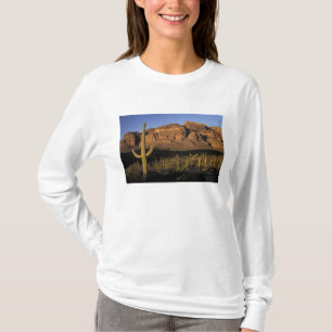 NA, USA, Arizona. Organ Pipe Cactus National 2 T-Shirt