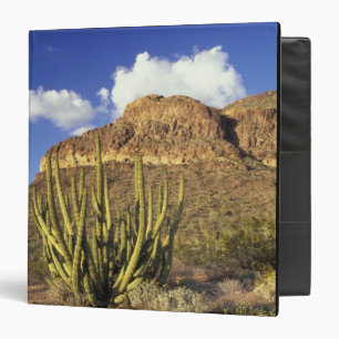 NA, USA, Arizona. Organ Pipe Cactus National 3 Binder