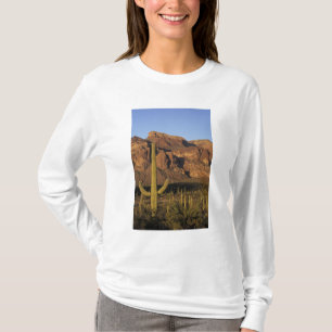 NA, USA, Arizona. Organ Pipe Cactus National T-Shirt