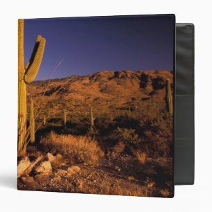 NA, USA, Arizona, Saguaro National Monument, Binder