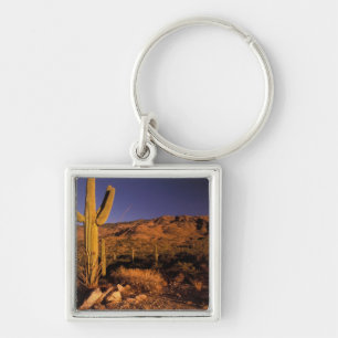 NA, USA, Arizona, Saguaro National Monument, Keychain