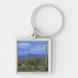 NA, USA, Arizona, Saguaro National Monument, Keychain
