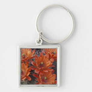 NA, USA, Arizona, San Xavier. Claret Cup cactus Keychain