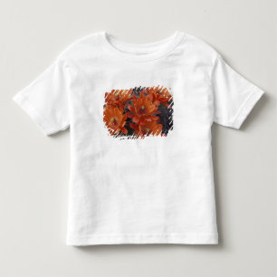 NA, USA, Arizona, San Xavier. Claret Cup cactus Toddler T-shirt