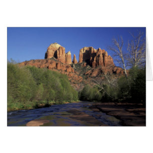 NA, USA, Arizona, Sedona. Rocher et chêne de la ca